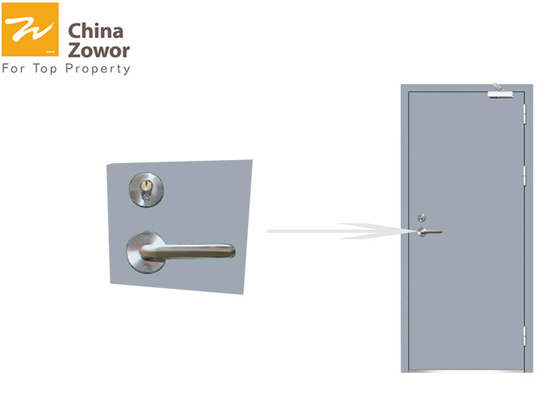 RAL Color Steel Fire Rated Interior Doors Right / Left Handed Open Size 48'' X 96''
